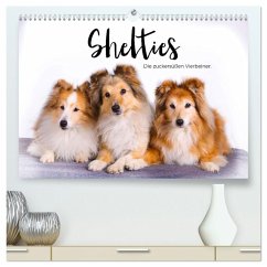 Shelties - Die zuckersüßen Vierbeiner. (hochwertiger Premium Wandkalender 2026 DIN A2 quer), Kunstdruck in Hochglanz