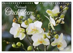 Cover Schönste Orchideen (Wandkalender 2026 DIN A4 quer), CALVENDO Monatskalender