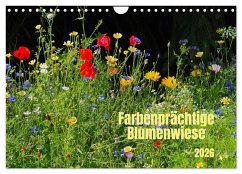 Farbenprächtige Blumenwiese (Wandkalender 2026 DIN A4 quer), CALVENDO Monatskalender Farbenprächtige Blumenwiese (Wandkalender 2026 DIN A4 quer), CALVENDO Monatskalender
