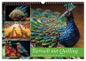 Tierwelt mit Quilling (Wandkalender... - Bild 1