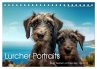 Lurcher Portraits - Zwei Welpen... - Bild 1