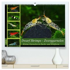 Cover Dwarf Shrimps - Zwerggarnelen (hochwertiger Premium Wandkalender 2026 DIN A2 quer), Kunstdruck in Hochglanz