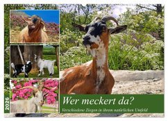 Cover Wer meckert da? (Wandkalender 2026 DIN A2 quer), CALVENDO Monatskalender