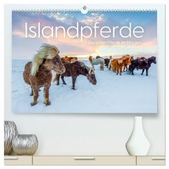 Islandpferde - Die süßen Pferde im Norden. (hochwertiger Premium Wandkalender 2026 DIN A2 quer), Kunstdruck in Hochglanz Islandpferde - Die süßen Pferde im Norden. (hochwertiger Premium Wandkalender 2026 DIN A2 quer), Kunstdruck in Hochglanz