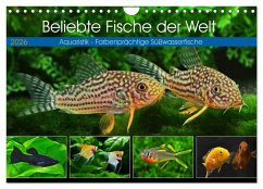 Cover Beliebte Fische der Welt (Wandkalender 2026 DIN A4 quer), CALVENDO Monatskalender