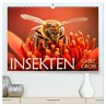 Insekten ganz gross (hochwertiger... - Bild 1