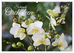 Cover Schönste Orchideen (Wandkalender 2026 DIN A2 quer), CALVENDO Monatskalender