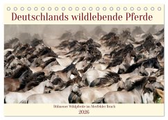 Deutschlands wildlebende Pferde (Tischkalender 2026 DIN A5 quer), CALVENDO Monatskalender Deutschlands wildlebende Pferde (Tischkalender 2026 DIN A5 quer), CALVENDO Monatskalender
