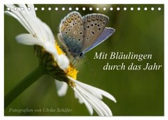 Mit Bläulingen durch das Jahr (Tischkalender 2026 DIN A5 quer), CALVENDO Monatskalender
