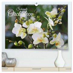 Schönste Orchideen (hochwertiger Premium Wandkalender 2026 DIN A2 quer), Kunstdruck in Hochglanz Cover Schönste Orchideen (hochwertiger Premium Wandkalender 2026 DIN A2 quer), Kunstdruck in Hochglanz