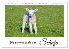 Cover Die schöne Welt der Schafe (Tischkalender 2026 DIN A5 quer), CALVENDO Monatskalender