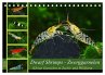 Dwarf Shrimps - Zwerggarnelen... - Bild 1