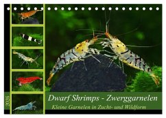 Cover Dwarf Shrimps - Zwerggarnelen (Tischkalender 2026 DIN A5 quer), CALVENDO Monatskalender