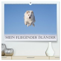 Mein fliegender Isländer (hochwertiger Premium Wandkalender 2026 DIN A2 quer), Kunstdruck in Hochglanz