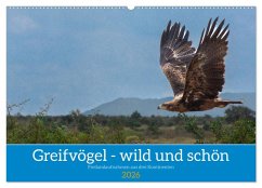 Cover Greifvögel - wild und schön (Wandkalender 2026 DIN A2 quer), CALVENDO Monatskalender
