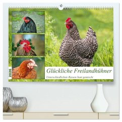 Cover Glückliche Freilandhühner (hochwertiger Premium Wandkalender 2026 DIN A2 quer), Kunstdruck in Hochglanz