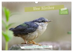Der Kleiber - Ostfriesenfotografie und der Vogel-Zorro (Wandkalender 2026 DIN A3 quer), CALVENDO Monatskalender Der Kleiber - Ostfriesenfotografie und der Vogel-Zorro (Wandkalender 2026 DIN A3 quer), CALVENDO Monatskalender