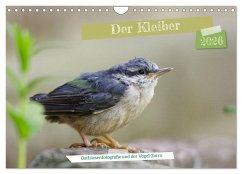 Der Kleiber - Ostfriesenfotografie und der Vogel-Zorro (Wandkalender 2026 DIN A4 quer), CALVENDO Monatskalender Der Kleiber - Ostfriesenfotografie und der Vogel-Zorro (Wandkalender 2026 DIN A4 quer), CALVENDO Monatskalender