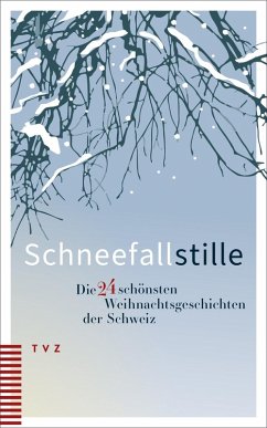 Cover Schneefallstille
