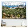 Olivenbäume auf Mallorca - Die... - Bild 1