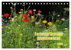 Farbenprächtige Blumenwiese (Tischkalender 2026 DIN A5 quer), CALVENDO Monatskalender Farbenprächtige Blumenwiese (Tischkalender 2026 DIN A5 quer), CALVENDO Monatskalender