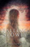 Falling Slowly (Cantwell Quartet, #1) (eBook, ePUB)
