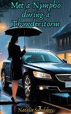 Met a Nympho during a Thunderstorm (eBook, ePUB)