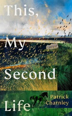 Cover This, My Second Life (eBook, ePUB)