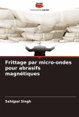 Frittage par micro-ondes pour abrasifs magnétiques Frittage par micro-ondes pour abrasifs magnétiques