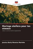 Moringa oleifera pour les oiseaux