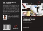 Nowa era betonu: reaktywny beton proszkowy