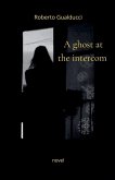 A ghost at the intercom