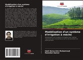 Modélisation d'un système d'irrigation à mèche