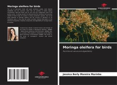 Moringa oleifera for birds - Moreira Marinho, Jéssica Berly