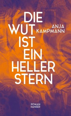 Cover Die Wut ist ein heller Stern (eBook, ePUB)