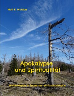 Apokalypse und Spiritualität (eBook, ePUB) Apokalypse und Spiritualität (eBook, ePUB)
