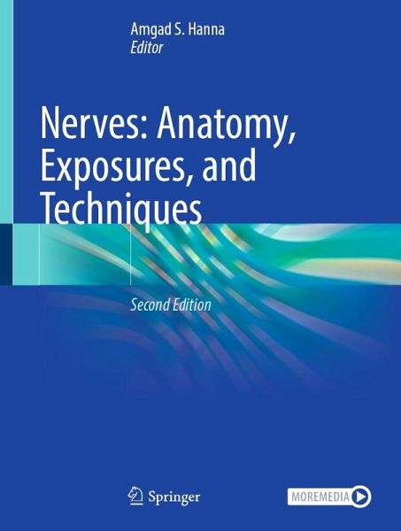 Nerves: Anatomy, Exposures, and Techniques (eBook, PDF)