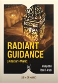 Radiant Guidance (eBook, ePUB) Radiant Guidance (eBook, ePUB)