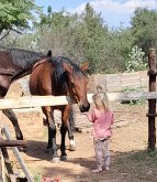 How to Horse (eBook, ePUB) How to Horse (eBook, ePUB)