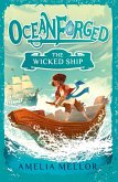The Wicked Ship (eBook, ePUB)