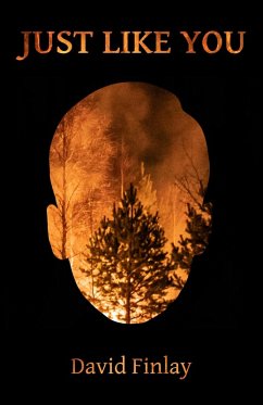 Cover Just Like You (eBook, ePUB)