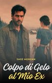Colpo di Gelo al Mio Ex (eBook, ePUB)