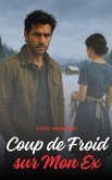 Coup de Froid sur Mon ex (eBook, ePUB)