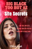 Site Secrets (BIG BLACK TOO HOT, #2) (eBook, ePUB) Site Secrets (BIG BLACK TOO HOT, #2) (eBook, ePUB)