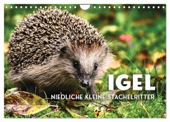 Igel - Niedliche kleine Stachelritter (Wandkalender 2026 DIN A4 quer), CALVENDO Monatskalender Igel - Niedliche kleine Stachelritter (Wandkalender 2026 DIN A4 quer), CALVENDO Monatskalender