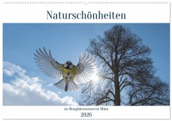 Cover Naturschönheiten im Biosphärerenreservat Rhön (Wandkalender 2026 DIN A2 quer), CALVENDO Monatskalender