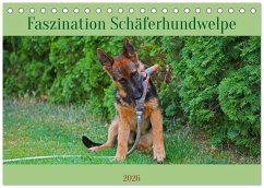 Faszination Schäferhundwelpe (Tischkalender 2026 DIN A5 quer), CALVENDO Monatskalender Faszination Schäferhundwelpe (Tischkalender 2026 DIN A5 quer), CALVENDO Monatskalender
