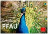 Schöner Pfau (Wandkalender 2026 DIN A3... - Bild 1