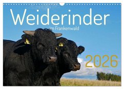 Cover Weiderinder im Frankenwald (Wandkalender 2026 DIN A3 quer), CALVENDO Monatskalender