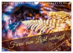 Farne vom Licht umtanzt (Wandkalender 2026 DIN A4 quer), CALVENDO Monatskalender Farne vom Licht umtanzt (Wandkalender 2026 DIN A4 quer), CALVENDO Monatskalender